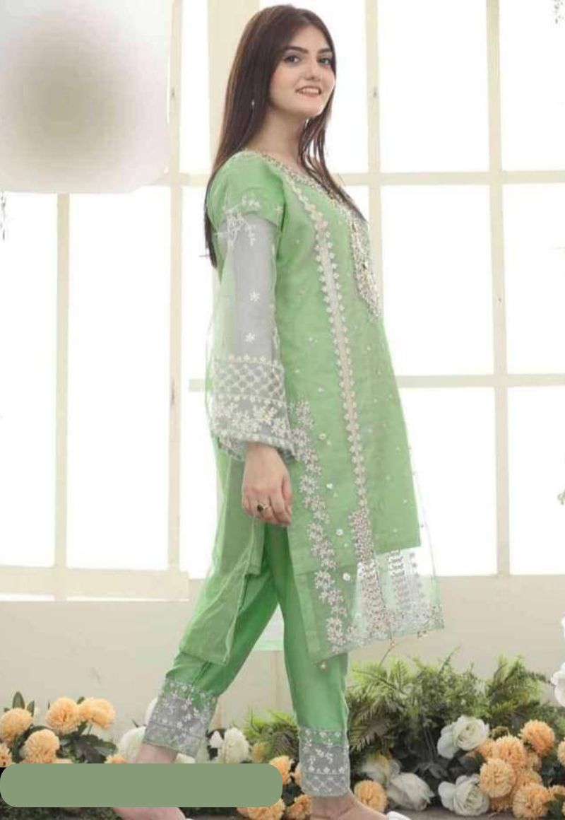 3 pcs Women's  Stitched Organza Embroidered suit